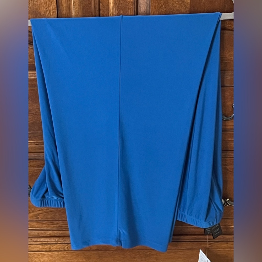 Antthony Design Originals Blue Ankle Pants 3X